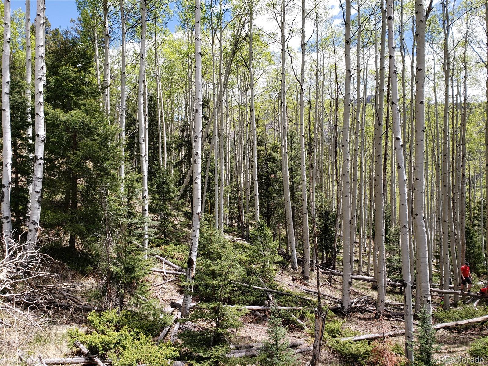 Tbd Del Norte, CO 81132 - Photo 9 of 9