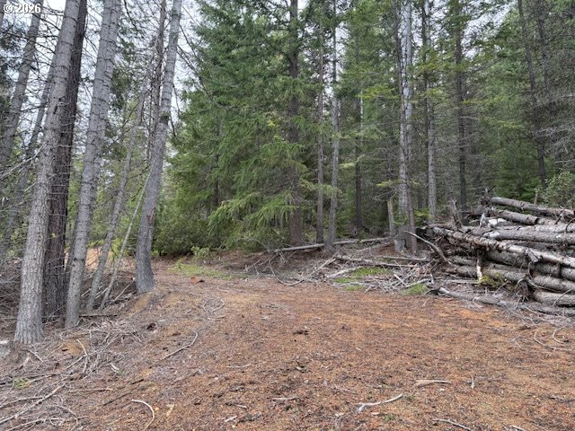 6 Royce Pine Road Crescent Lake, OR 97733 - Photo 8 of 11 a view of a forest with trees in the background