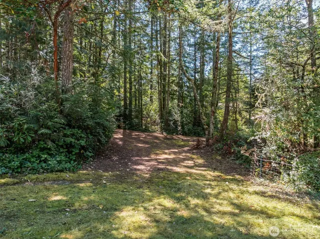 a view of a yard with a tree