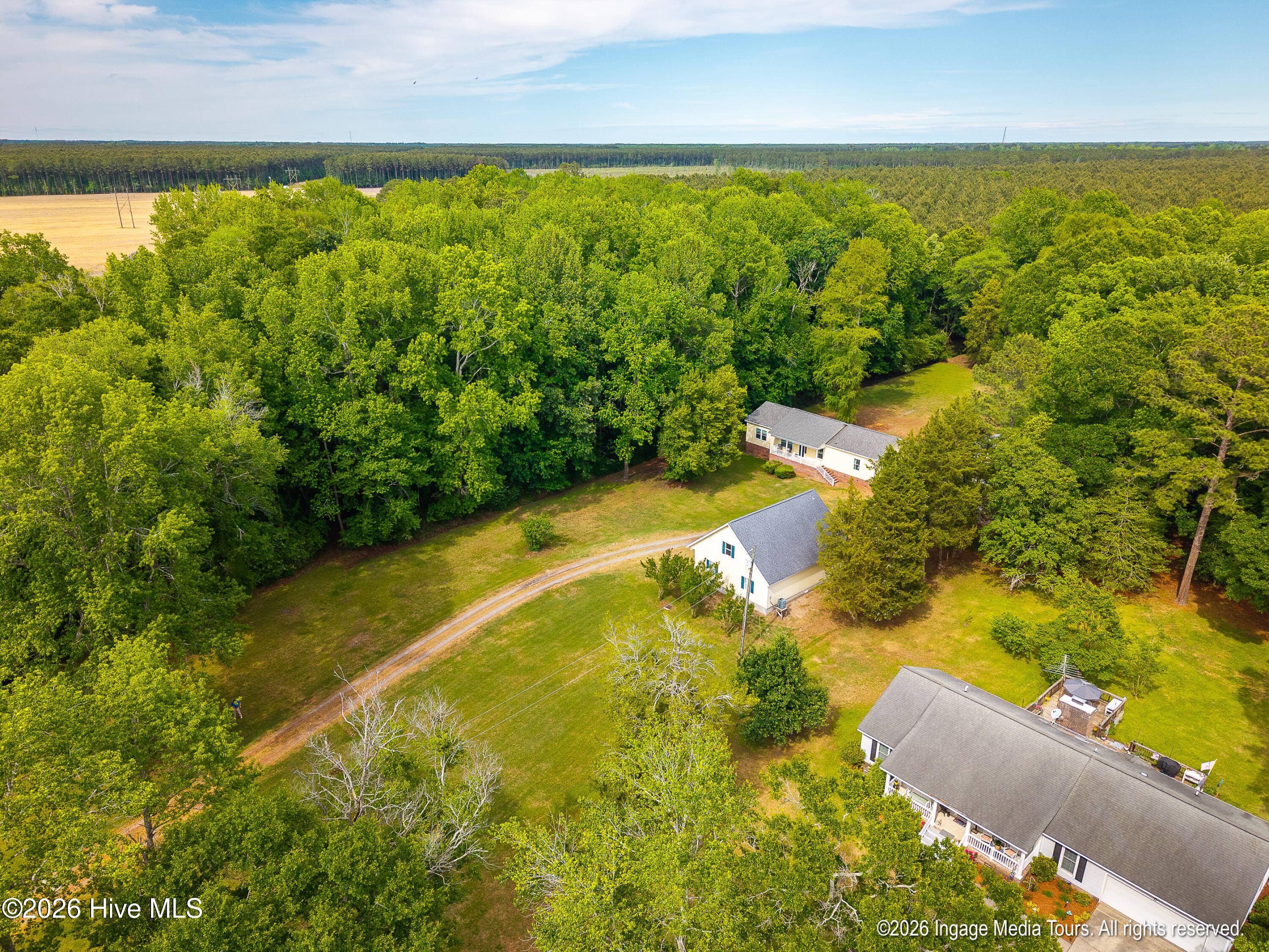 1952 Whichard Cherry Lane Road Stokes, NC 27884 - Photo 53 of 60 20260428 MLS L_Wilson 1952 Whichard-Cher