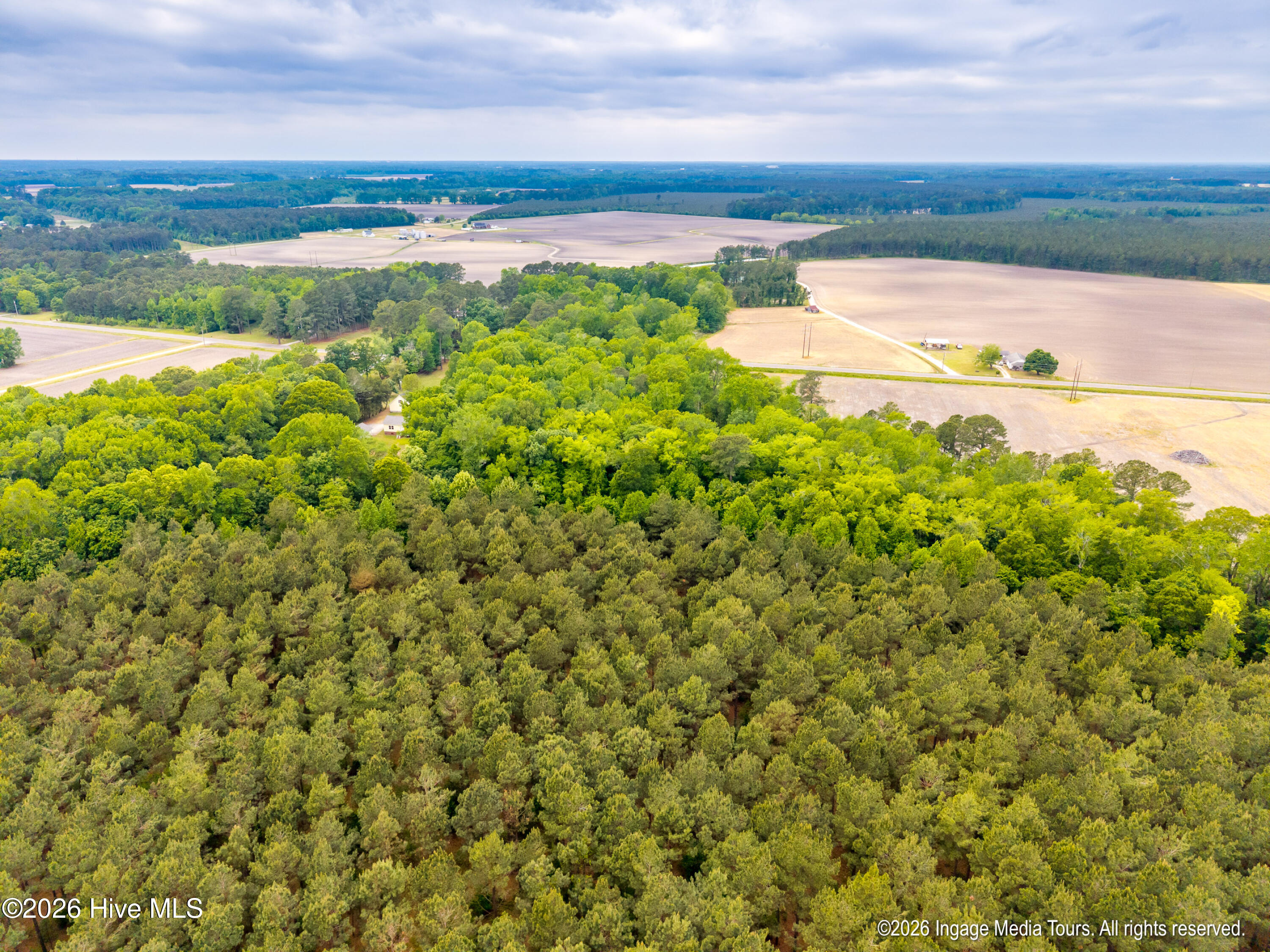 1952 Whichard Cherry Lane Road Stokes, NC 27884 - Photo 59 of 60 20260428 MLS L_Wilson 1952 Whichard-Cher