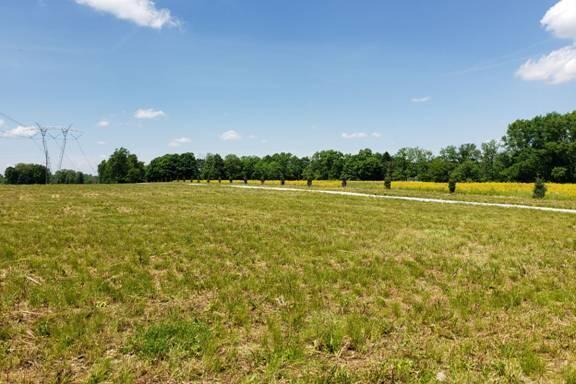0 Dent Road Sunbury, OH 43074 - Photo 19 of 65 image014
