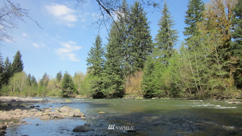 -xxx Dowan Creek Road Forks, WA 98331 - Photo 1 of 15 Gallery Image 1
