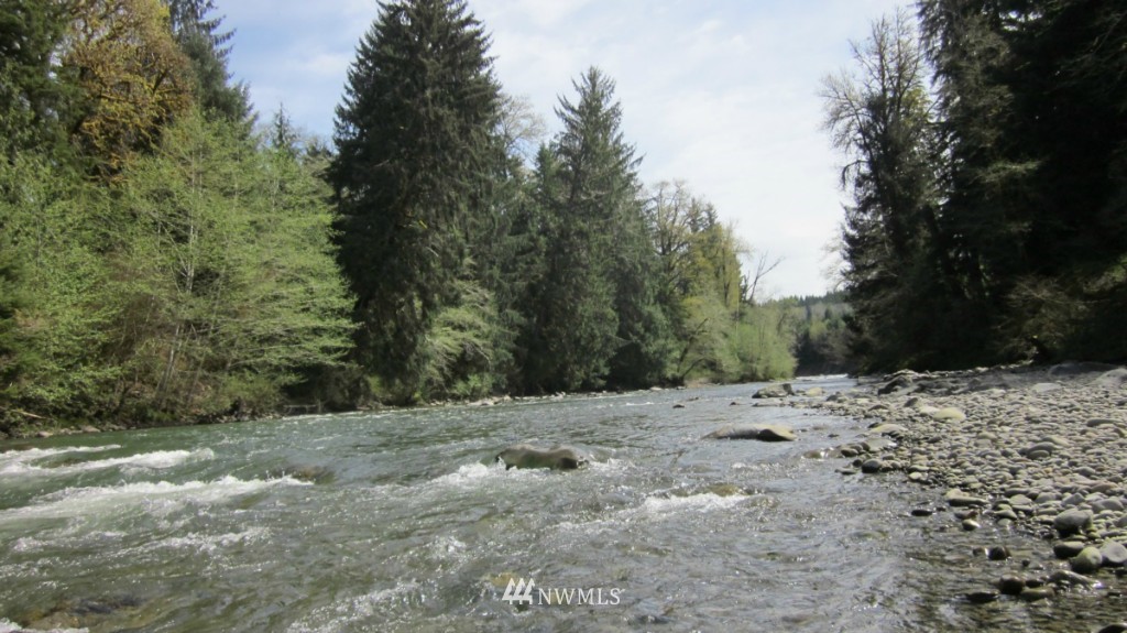 -xxx Dowan Creek Road Forks, WA 98331 - Photo 2 of 15 Gallery Image 2