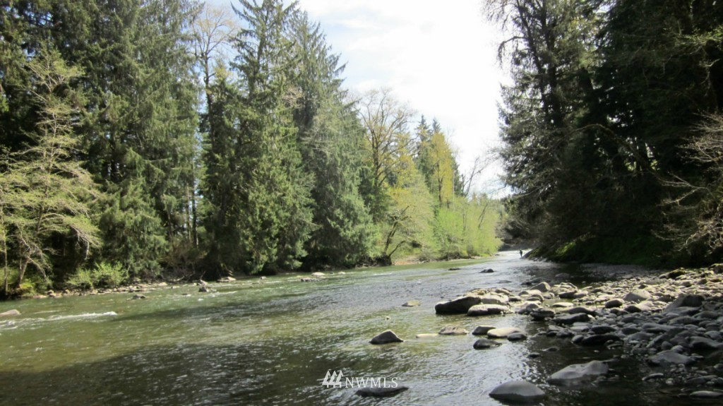 -xxx Dowan Creek Road Forks, WA 98331 - Photo 11 of 15 Gallery Image 11