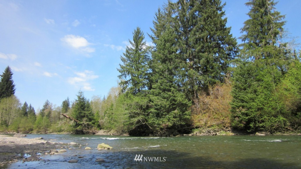 -xxx Dowan Creek Road Forks, WA 98331 - Photo 12 of 15 Gallery Image 12