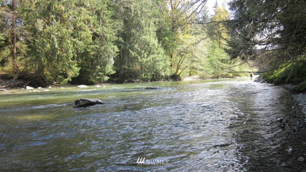 -xxx Dowan Creek Road Forks, WA 98331 - Photo 13 of 15 Gallery Image 13