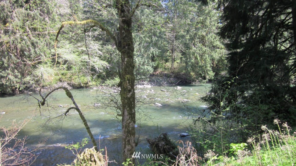 -xxx Dowan Creek Road Forks, WA 98331 - Photo 14 of 15 Gallery Image 14