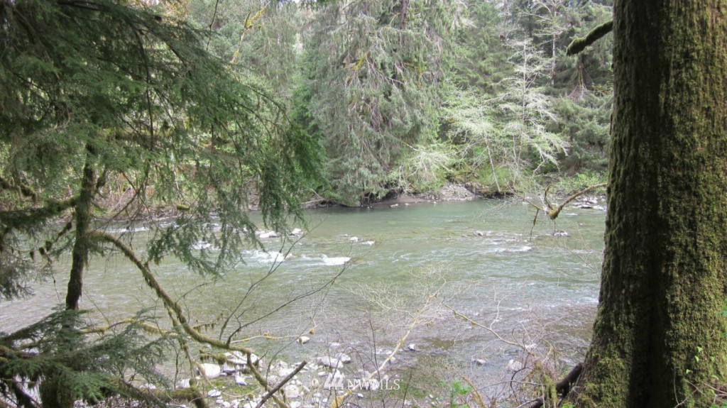-xxx Dowan Creek Road Forks, WA 98331 - Photo 15 of 15 Gallery Image 15