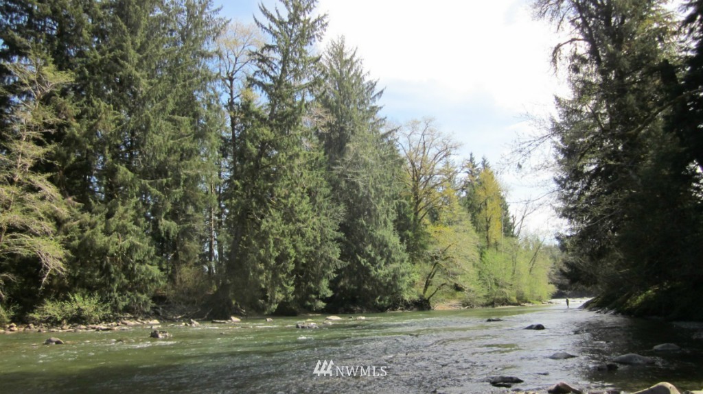 -xxx Dowan Creek Road Forks, WA 98331 - Photo 3 of 15 Gallery Image 3
