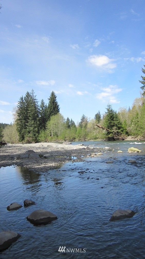 -xxx Dowan Creek Road Forks, WA 98331 - Photo 4 of 15 Gallery Image 4