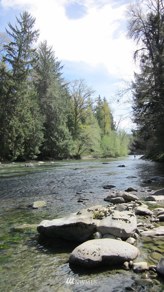 -xxx Dowan Creek Road Forks, WA 98331 - Photo 5 of 15 Gallery Image 5