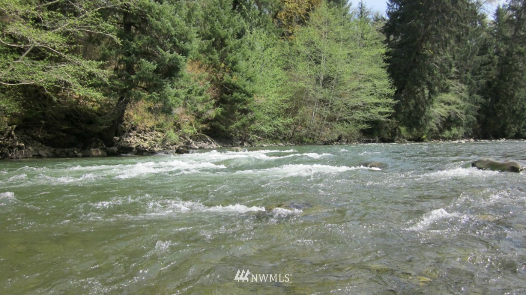 -xxx Dowan Creek Road Forks, WA 98331 - Photo 10 of 15 Gallery Image 10