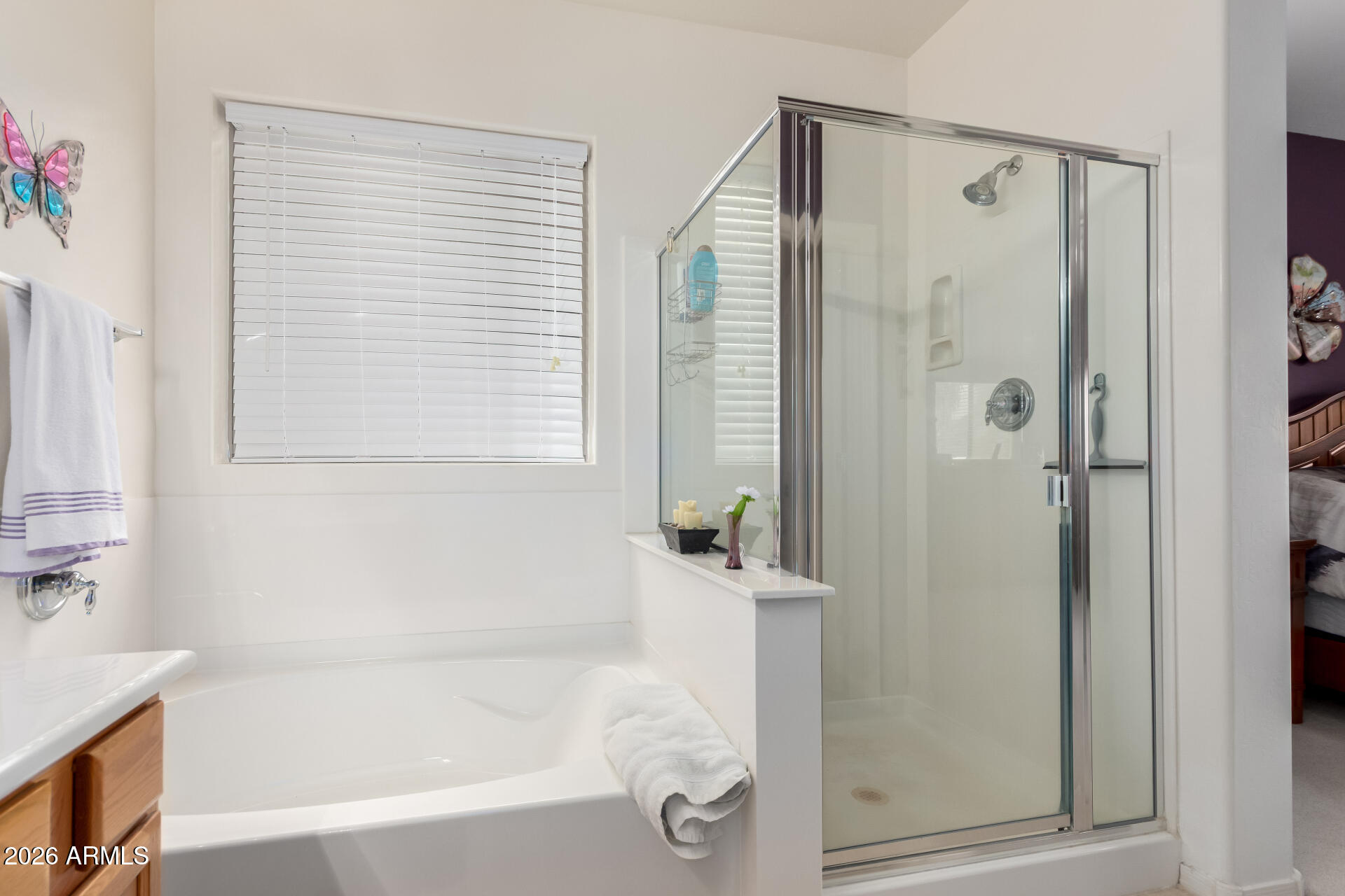 45210 Miramar Road Maricopa, AZ 85139 - Photo 18 of 31 18 Master Bedroom