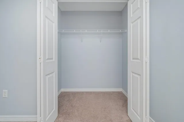 a view of backyard with pathway