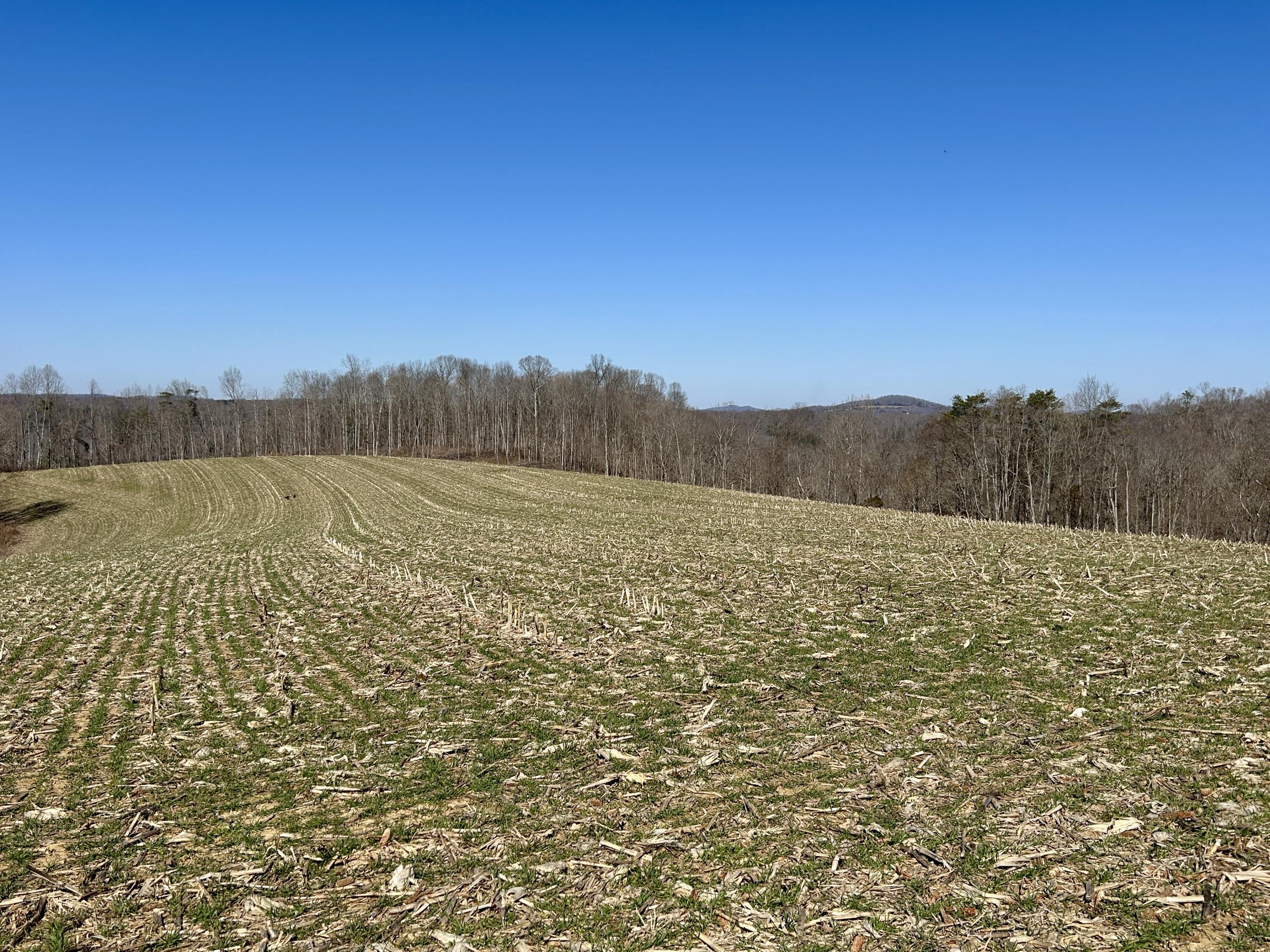 2905 Beech Grove Road Science Hill, KY 42553 - Photo 18 of 26 IMG_6488