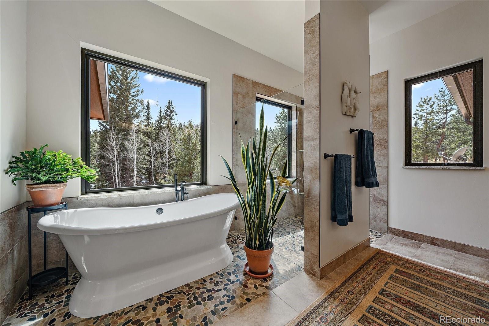 280 Double Tree Road Bailey, CO 80421 - Photo 27 of 49