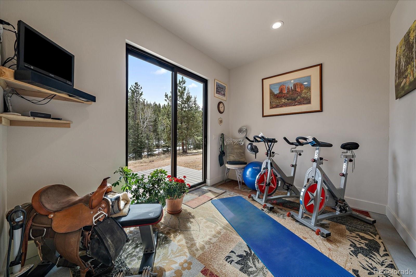 280 Double Tree Road Bailey, CO 80421 - Photo 40 of 49