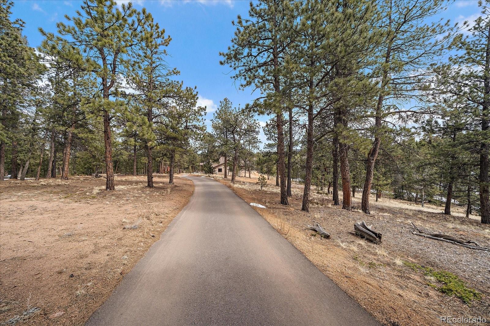 280 Double Tree Road Bailey, CO 80421 - Photo 47 of 49