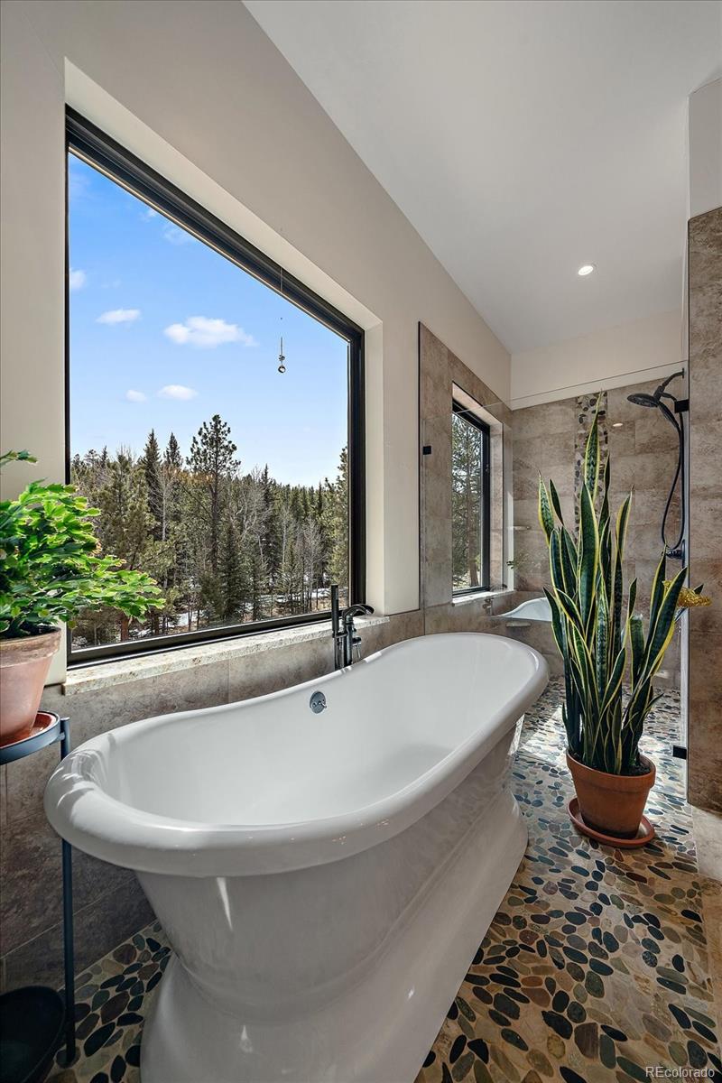 280 Double Tree Road Bailey, CO 80421 - Photo 5 of 49