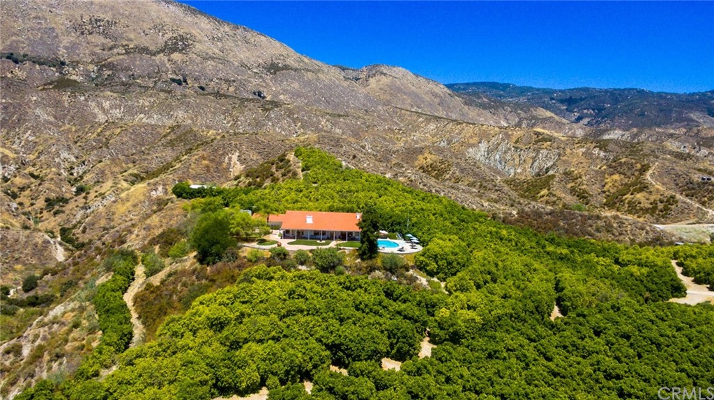 47810 Bee Canyon Truck Trail Hemet, CA 92544 - Photo 43 of 43 a view of a yard with a mountain