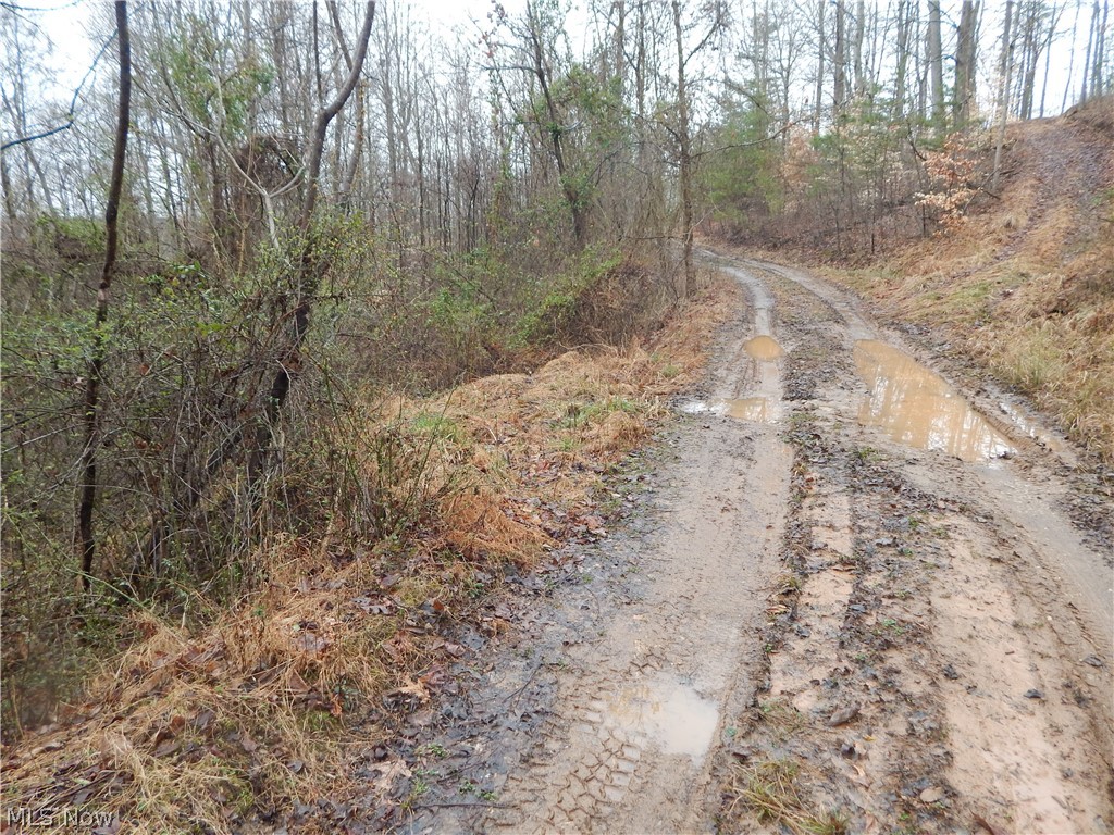 0 Freeport Ridge Road Walker, WV 26180 - Photo 14 of 15