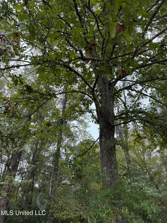 $286,700 | 821 Columbia Purvis Road, Columbia, MS 39429
