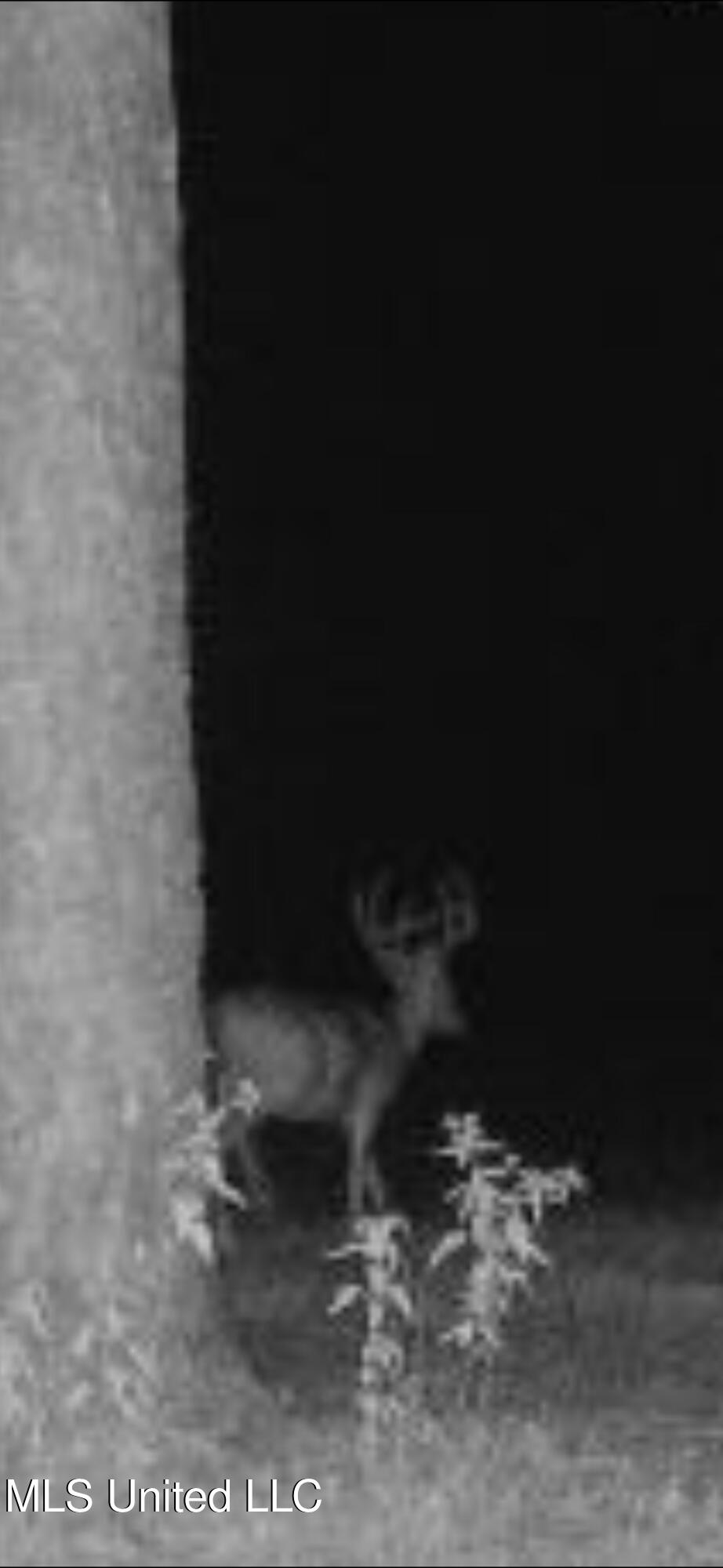 821 Columbia Purvis Road Columbia, MS 39429 - Photo 18 of 29 thumbnail_IMG_1241