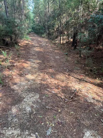 $286,700 | 821 Columbia Purvis Road, Columbia, MS 39429