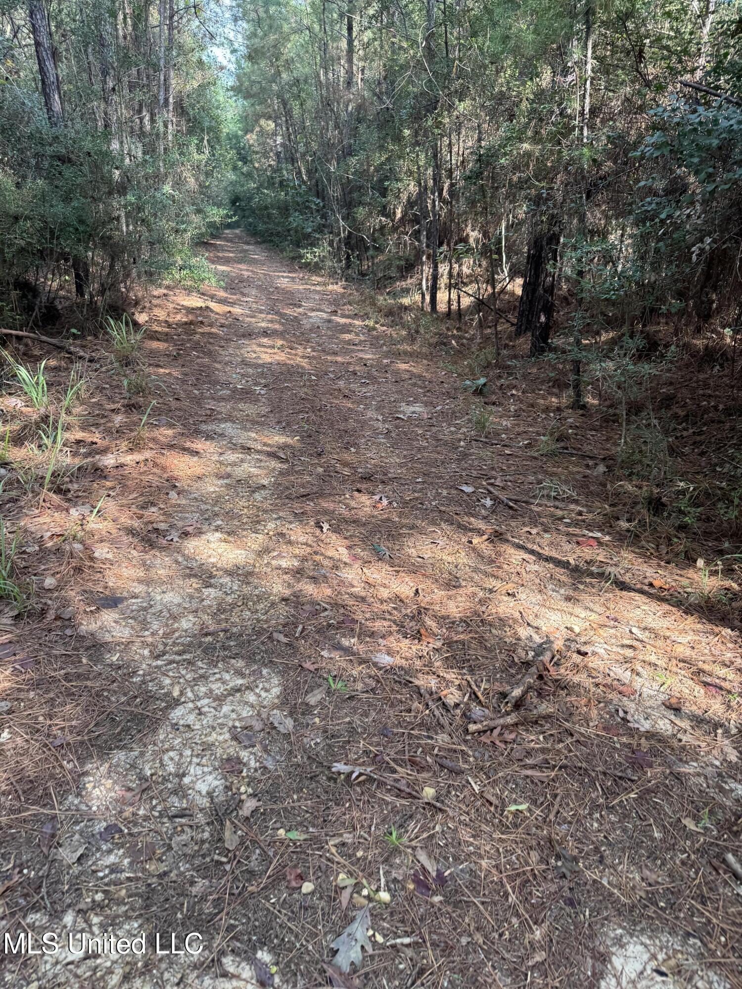 821 Columbia Purvis Road Columbia, MS 39429 - Photo 20 of 29 IMG_0384