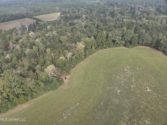 $286,700 | 821 Columbia Purvis Road, Columbia, MS 39429