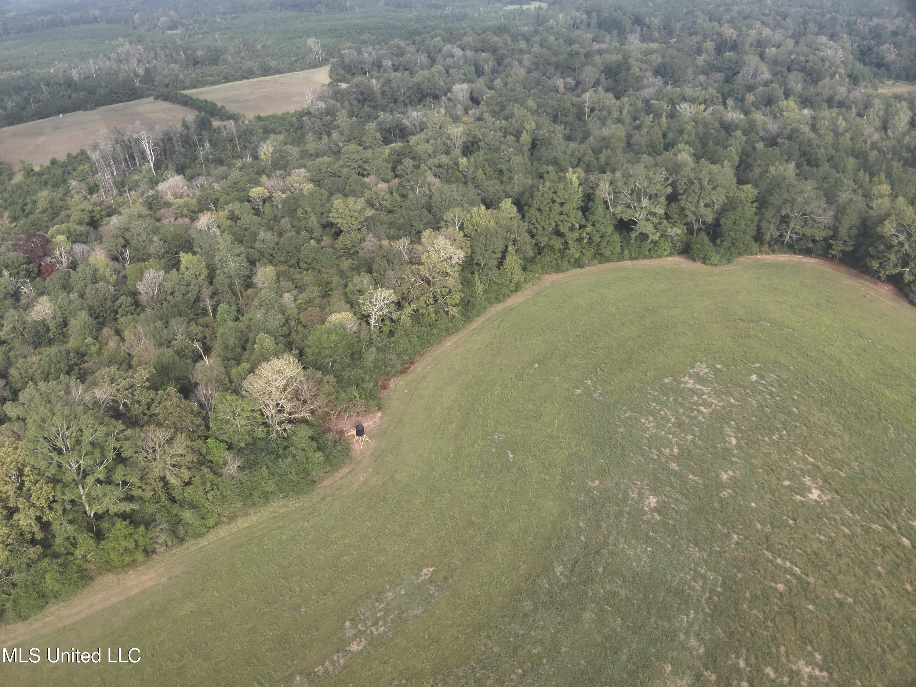 821 Columbia Purvis Road Columbia, MS 39429 - Photo 2 of 29 DJI_20251008093127_0011_V