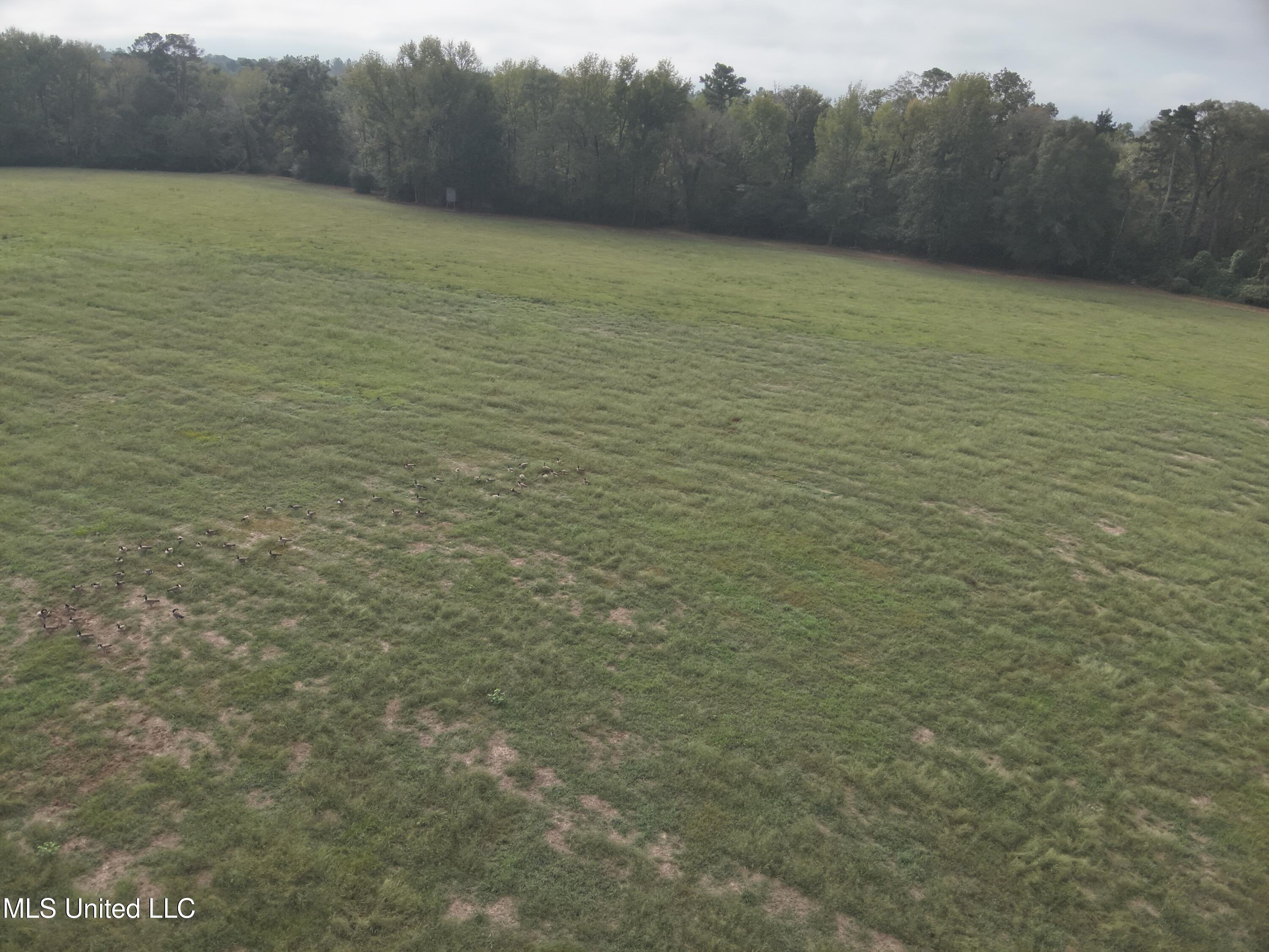 821 Columbia Purvis Road Columbia, MS 39429 - Photo 28 of 29 DJI_20251008094926_0053_V