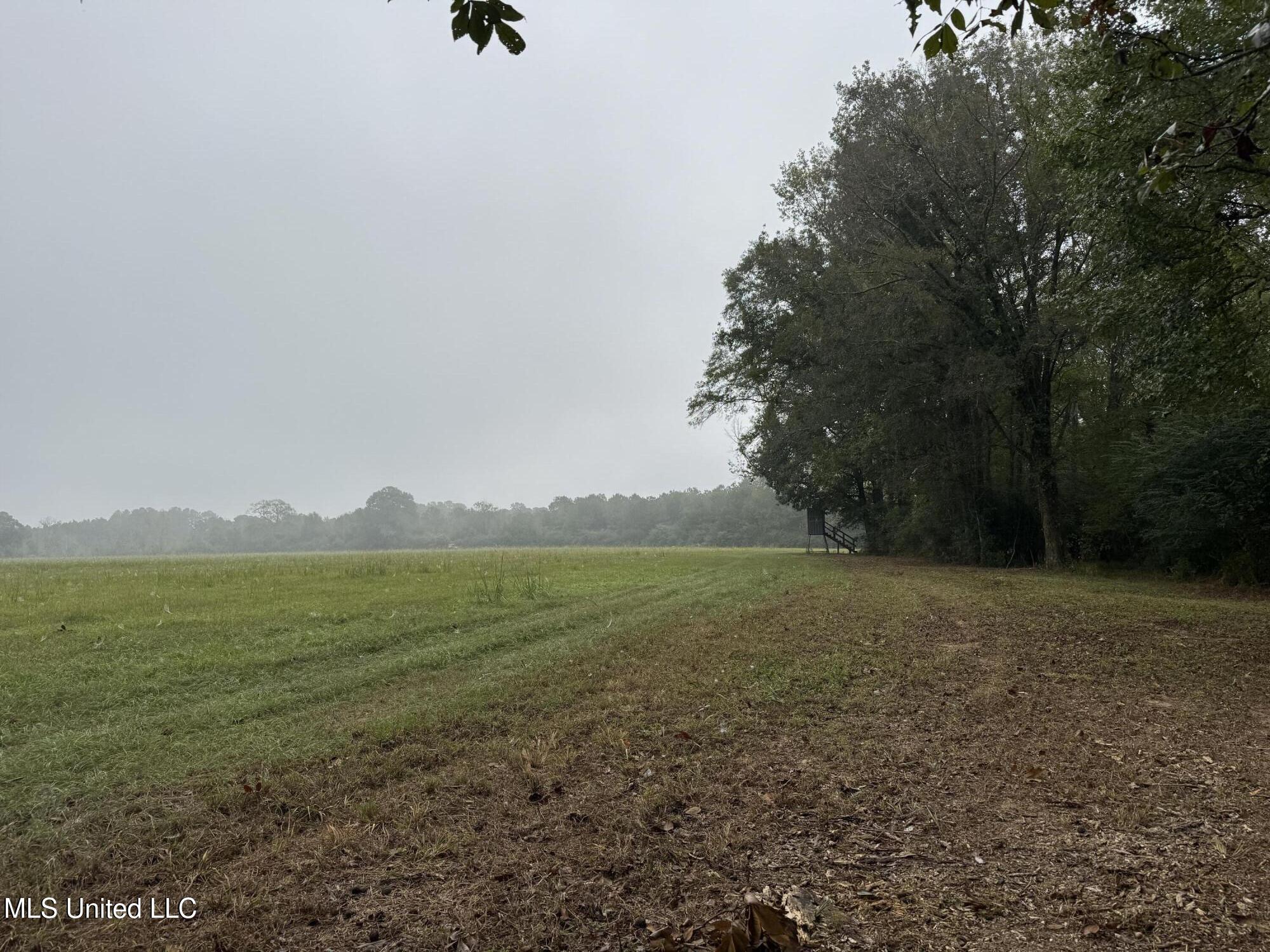 821 Columbia Purvis Road Columbia, MS 39429 - Photo 3 of 29 IMG_0367