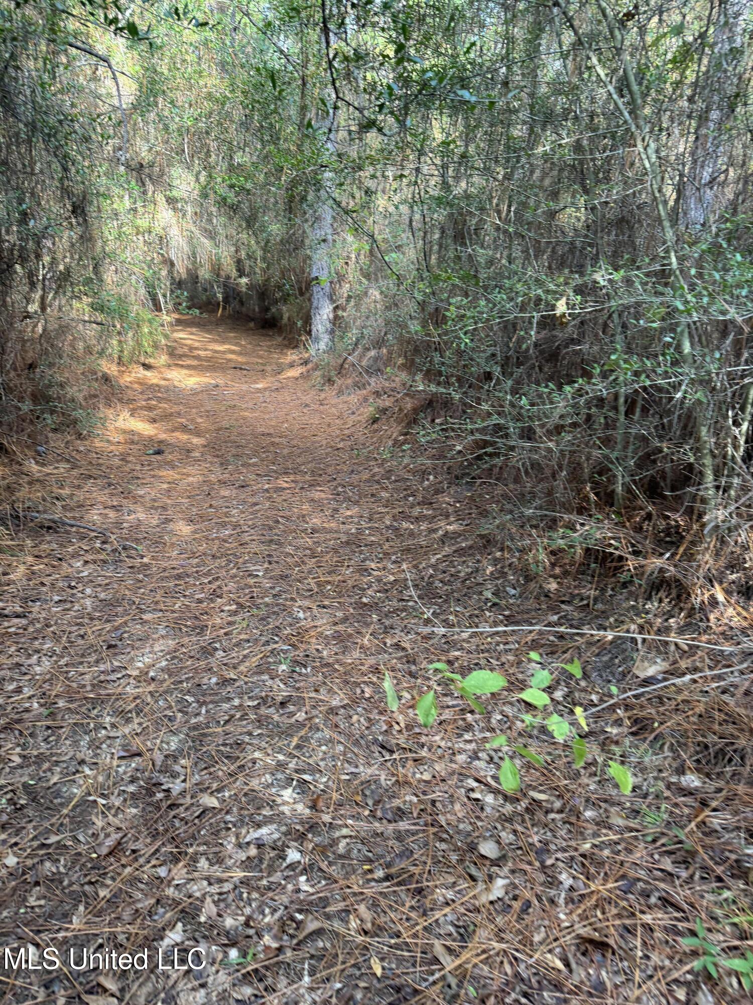 821 Columbia Purvis Road Columbia, MS 39429 - Photo 8 of 29 IMG_0381