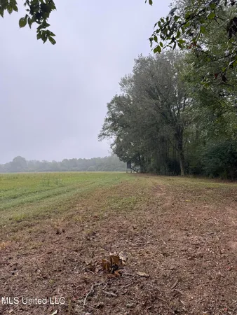 $286,700 | 821 Columbia Purvis Road, Columbia, MS 39429