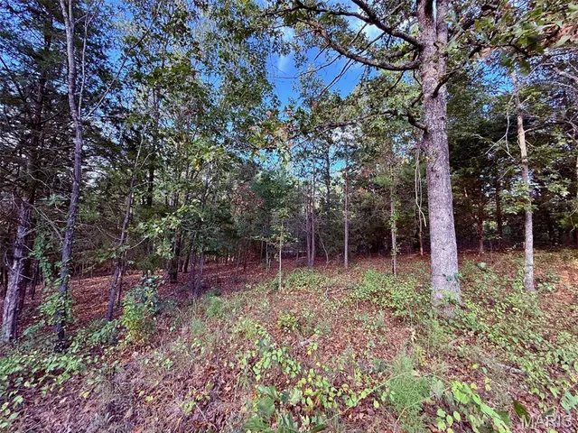 $599,900 | 15306 Bucyrus Drive, Bucyrus, MO 65444