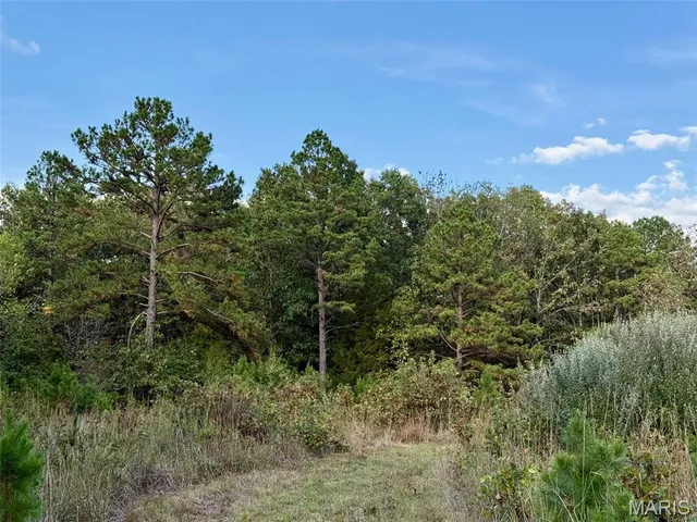 $599,900 | 15306 Bucyrus Drive, Bucyrus, MO 65444