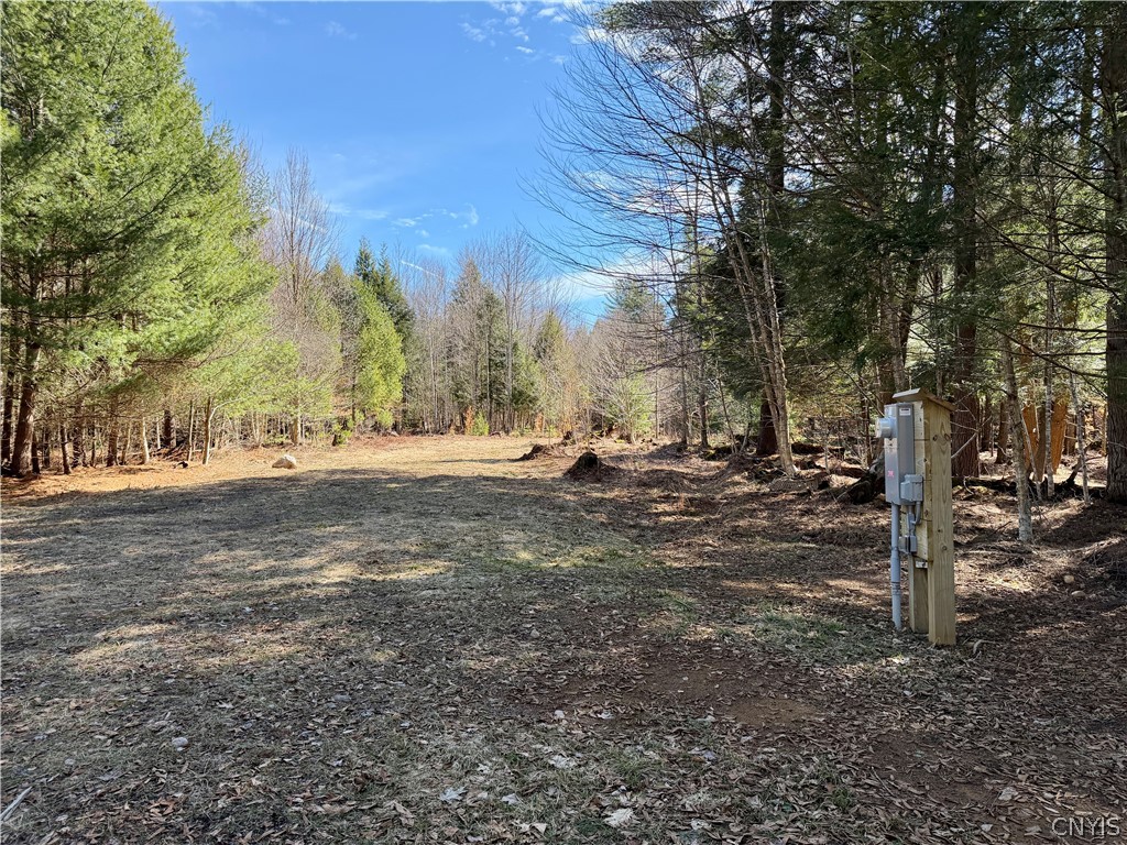 6919 Austin Road Glenfield, NY 13343 - Photo 7 of 28