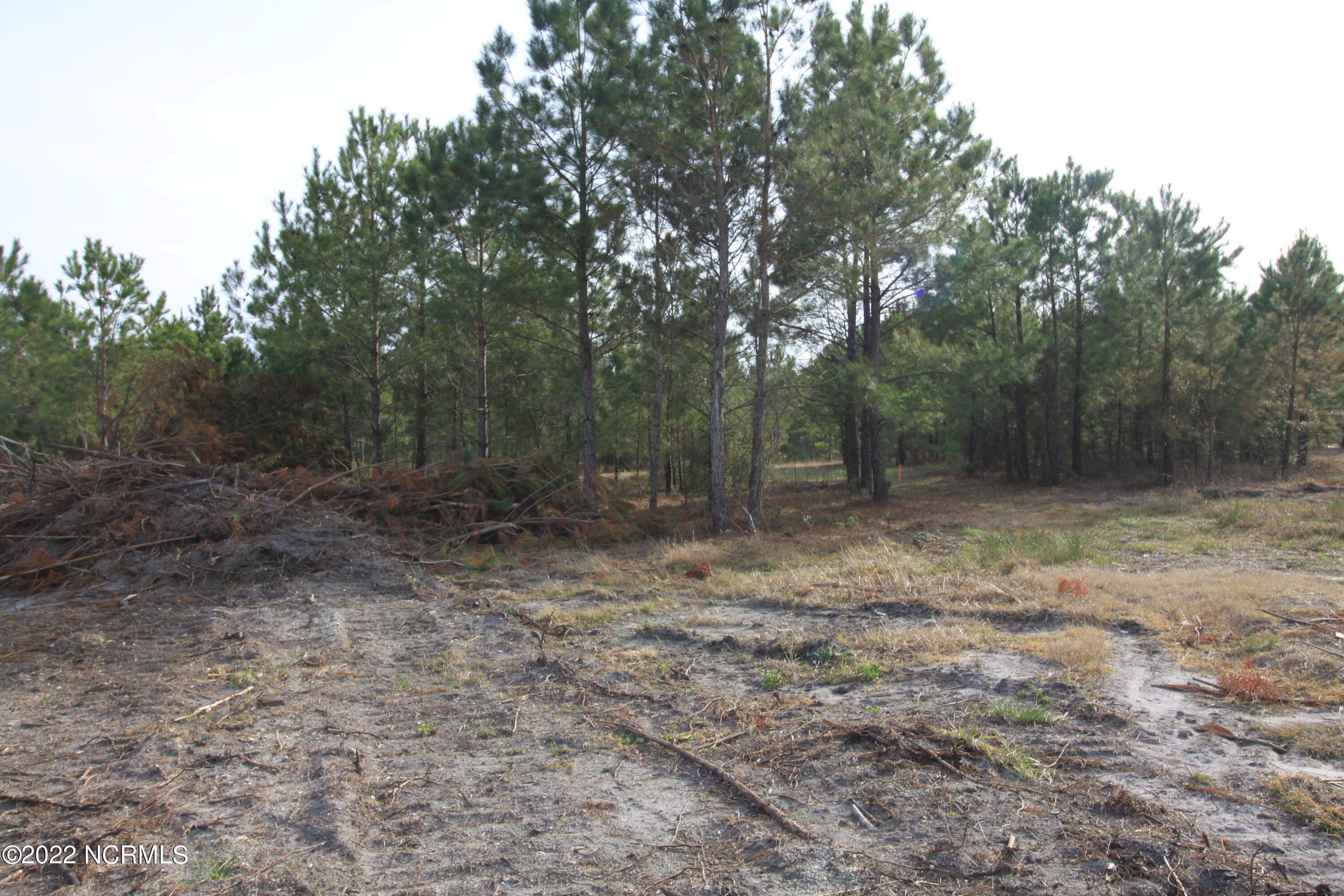 127 Merry Lane Holly Ridge, NC 28445 - Photo 13 of 26 IMG_6598