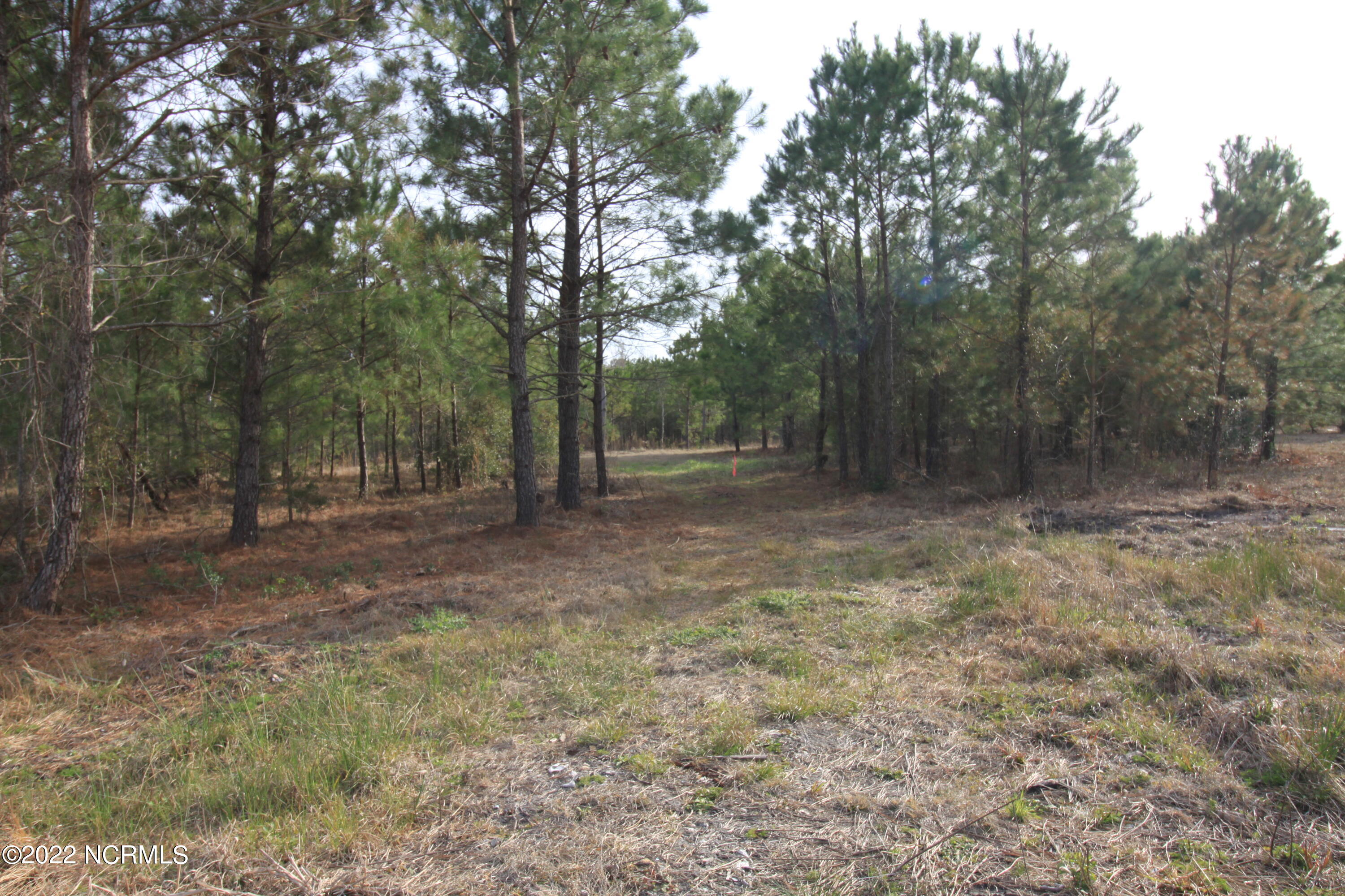 127 Merry Lane Holly Ridge, NC 28445 - Photo 14 of 26 IMG_6600
