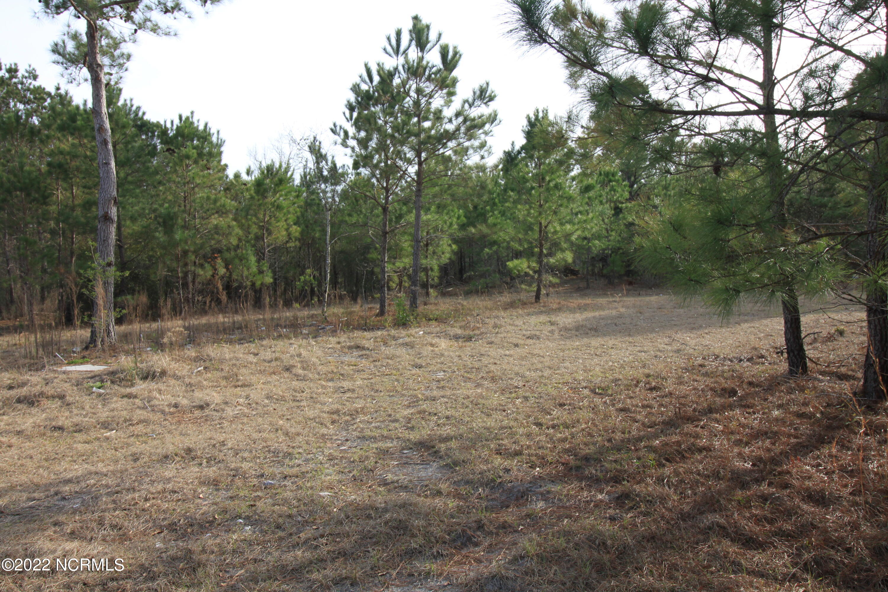 127 Merry Lane Holly Ridge, NC 28445 - Photo 16 of 26 IMG_6605