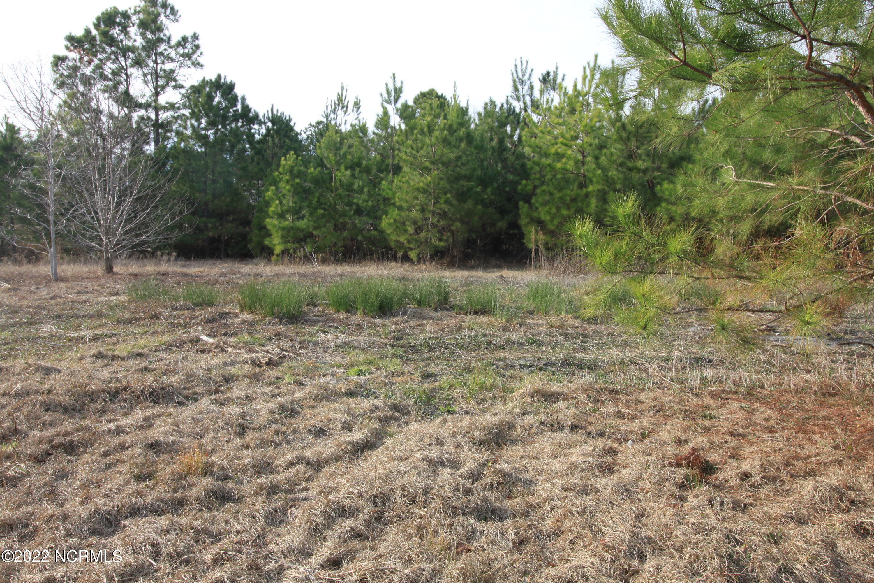 127 Merry Lane Holly Ridge, NC 28445 - Photo 18 of 26 IMG_6609
