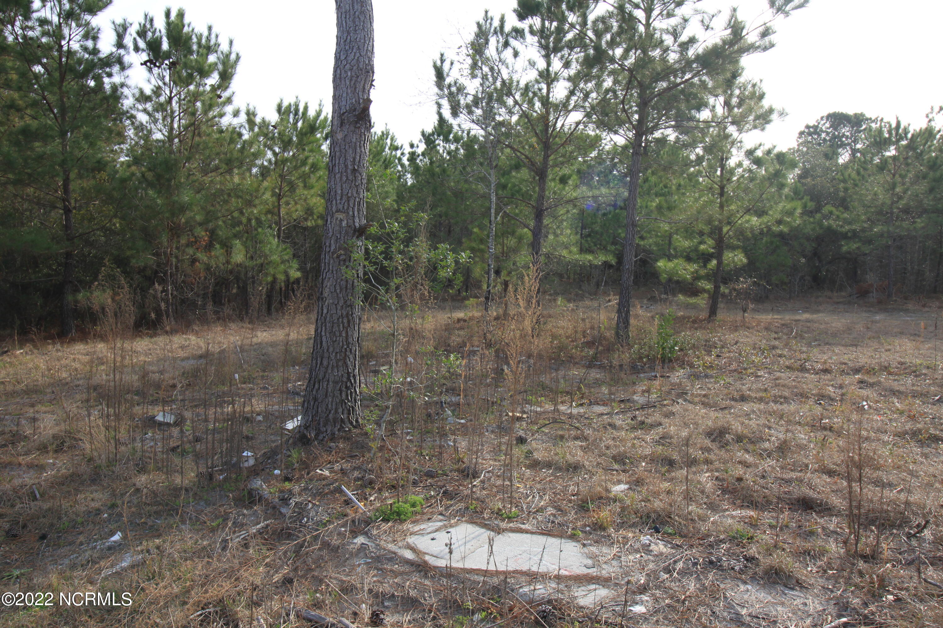 127 Merry Lane Holly Ridge, NC 28445 - Photo 19 of 26 IMG_6610