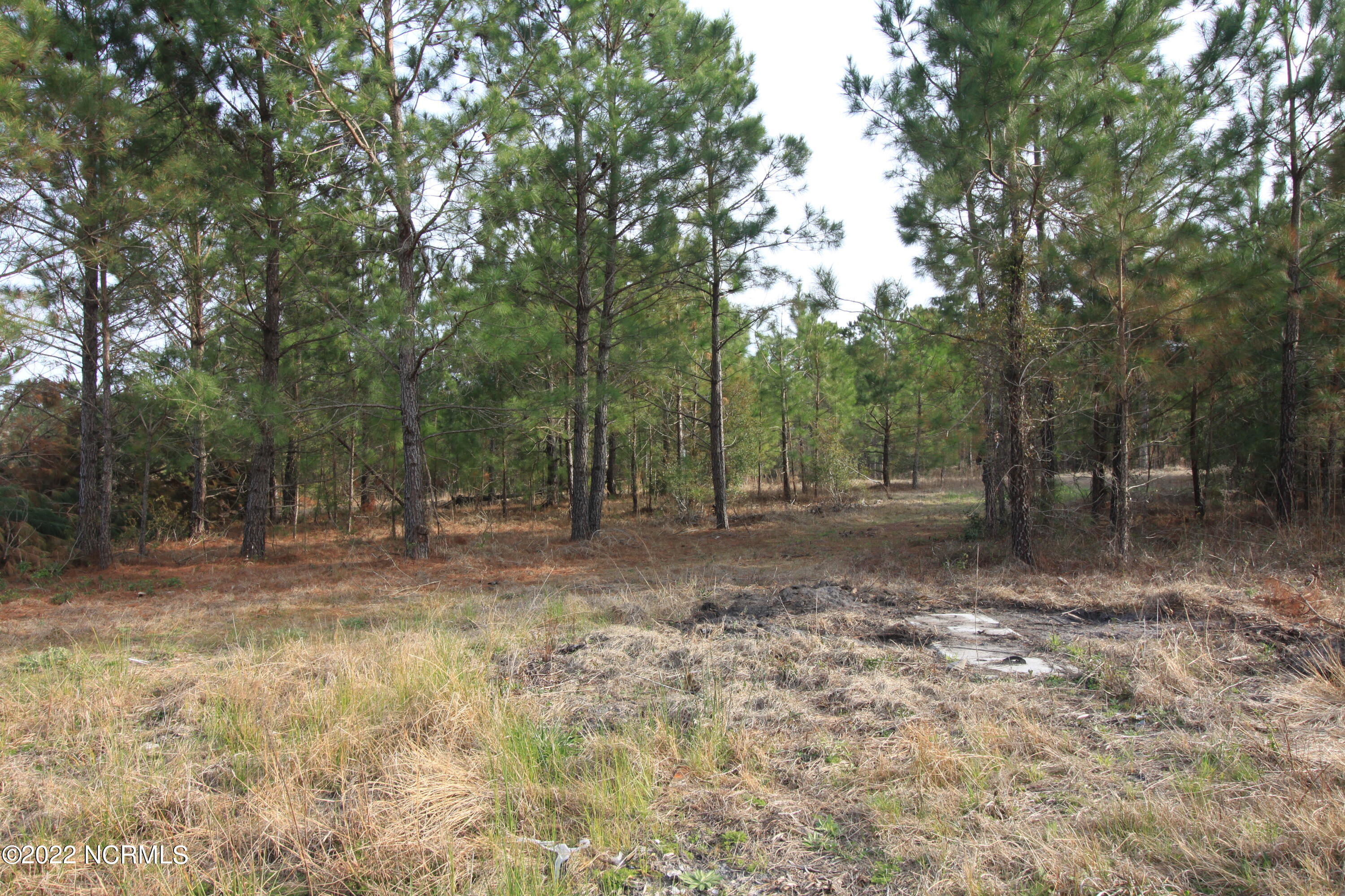 127 Merry Lane Holly Ridge, NC 28445 - Photo 23 of 26 IMG_6614