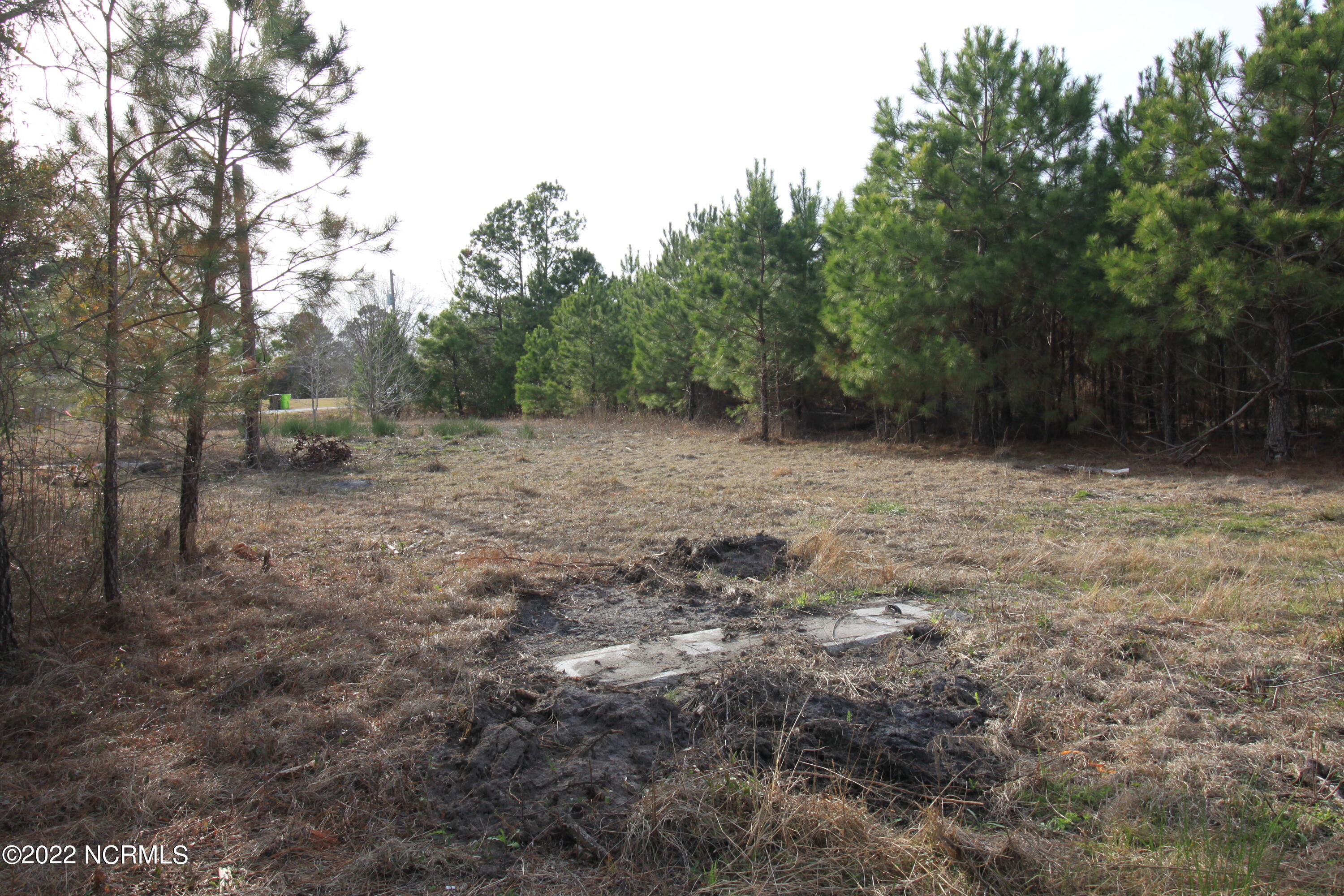 127 Merry Lane Holly Ridge, NC 28445 - Photo 24 of 26 IMG_6601