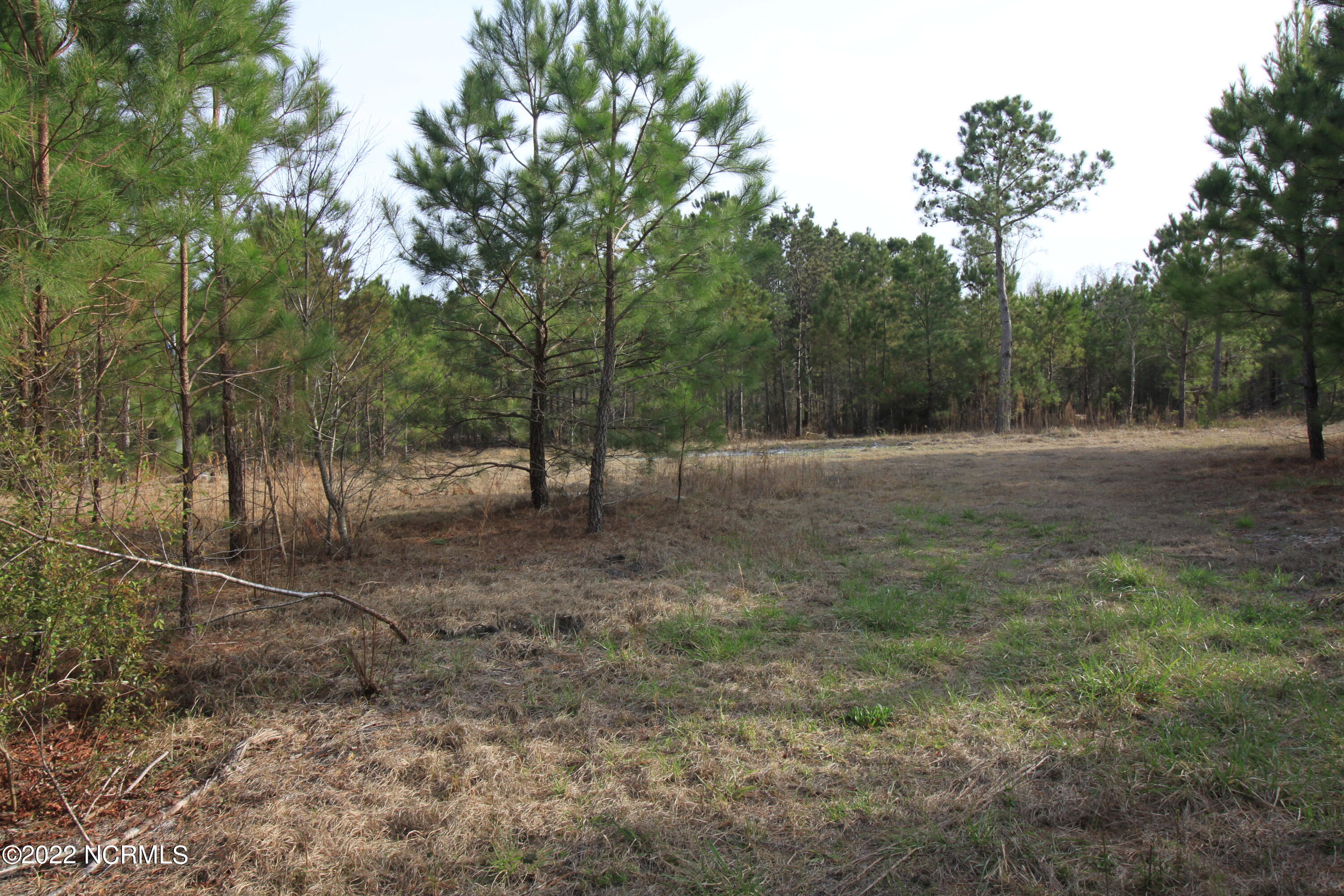 127 Merry Lane Holly Ridge, NC 28445 - Photo 25 of 26 IMG_6602