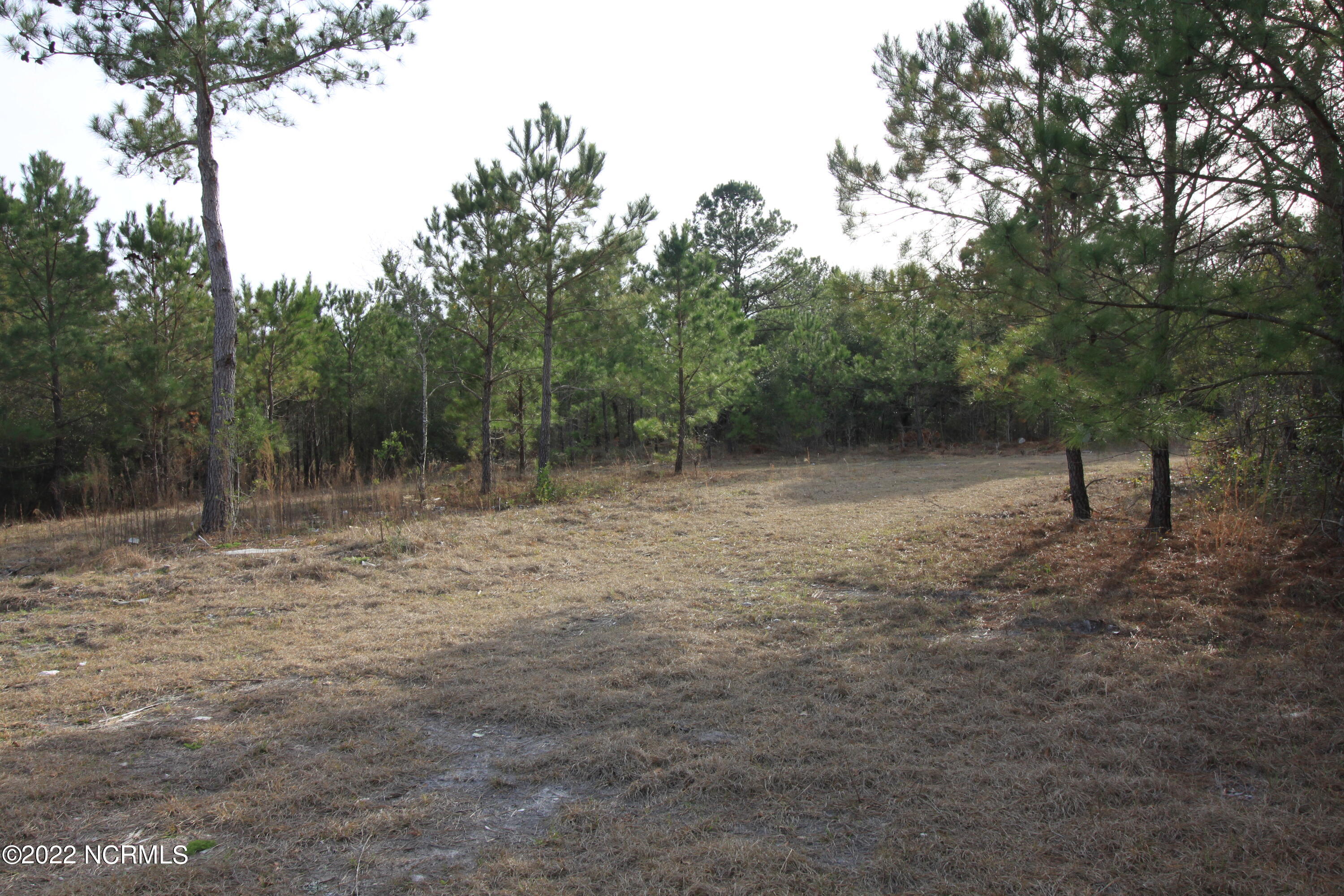 127 Merry Lane Holly Ridge, NC 28445 - Photo 26 of 26 IMG_6603