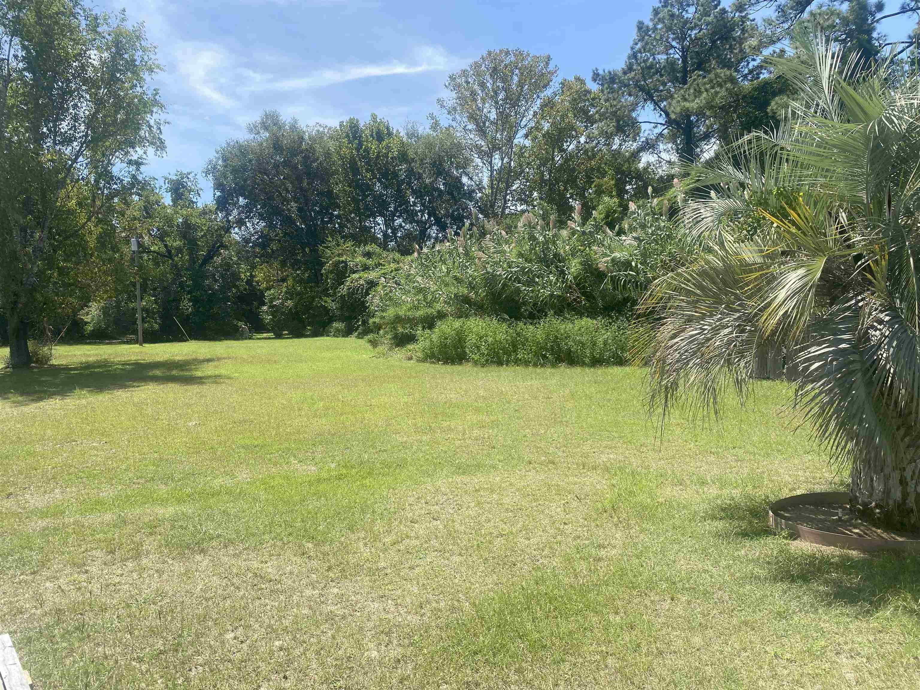 111 J K Moore Road Crawfordville, FL 32327 - Photo 17 of 28