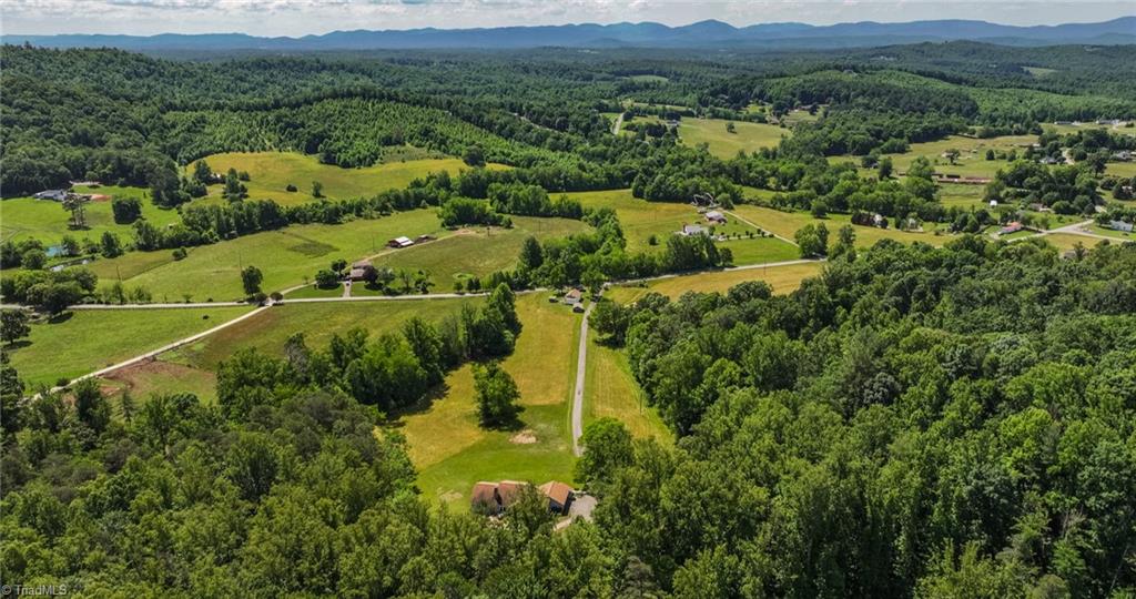 Tbd Shingle Gap Road Purlear, NC 28665 - Photo 7 of 20